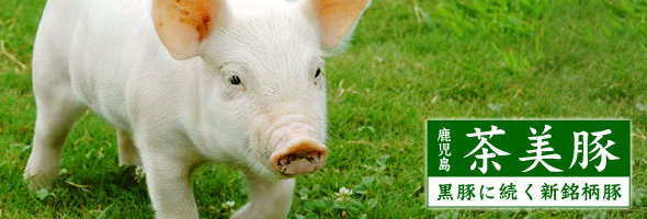 茶美豚（ちゃーみとん）